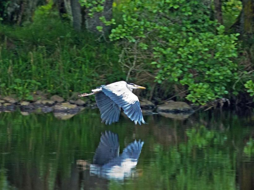 Herons Rest Drumnadrochit Luaran gambar
